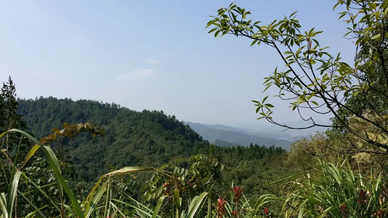 仰天岗