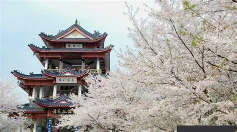 鼋头渚