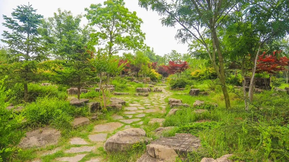 日照植物园