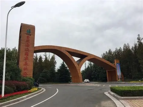 日照海滨国家森林公园