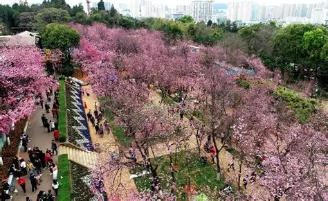 圆通山