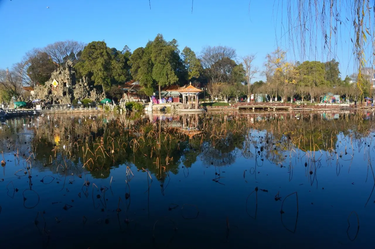 大观公园