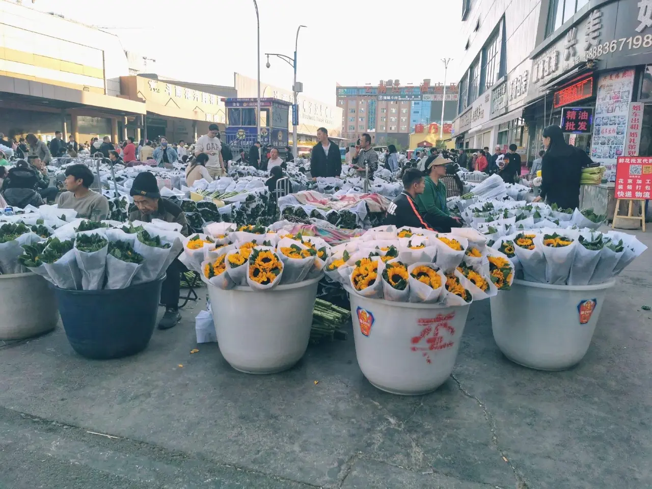 斗南花市