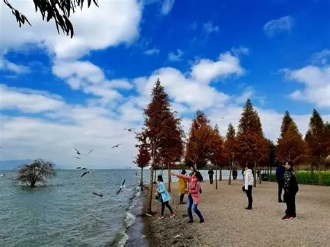昆明捞渔河湿地公园