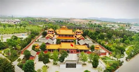 杏林大观园