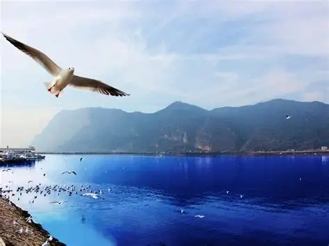 滇池