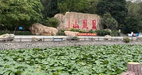凤凰山森林公园