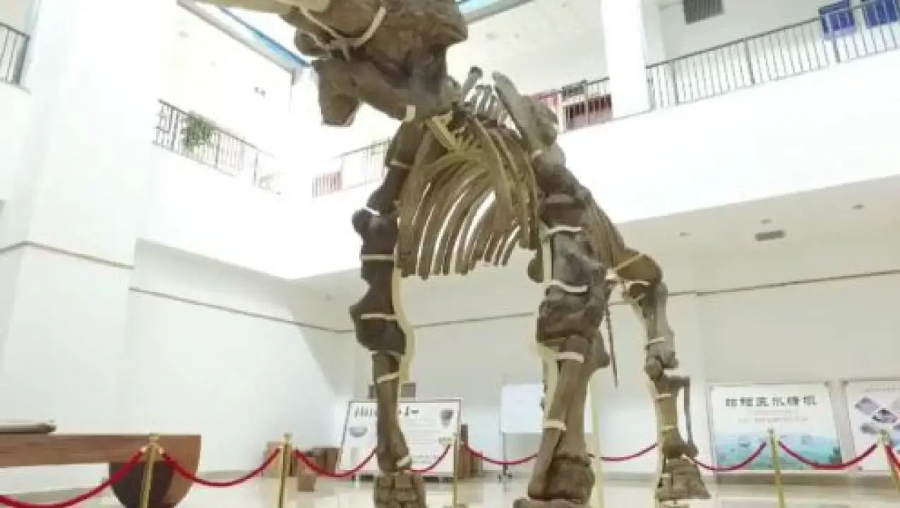 昭通市博物馆