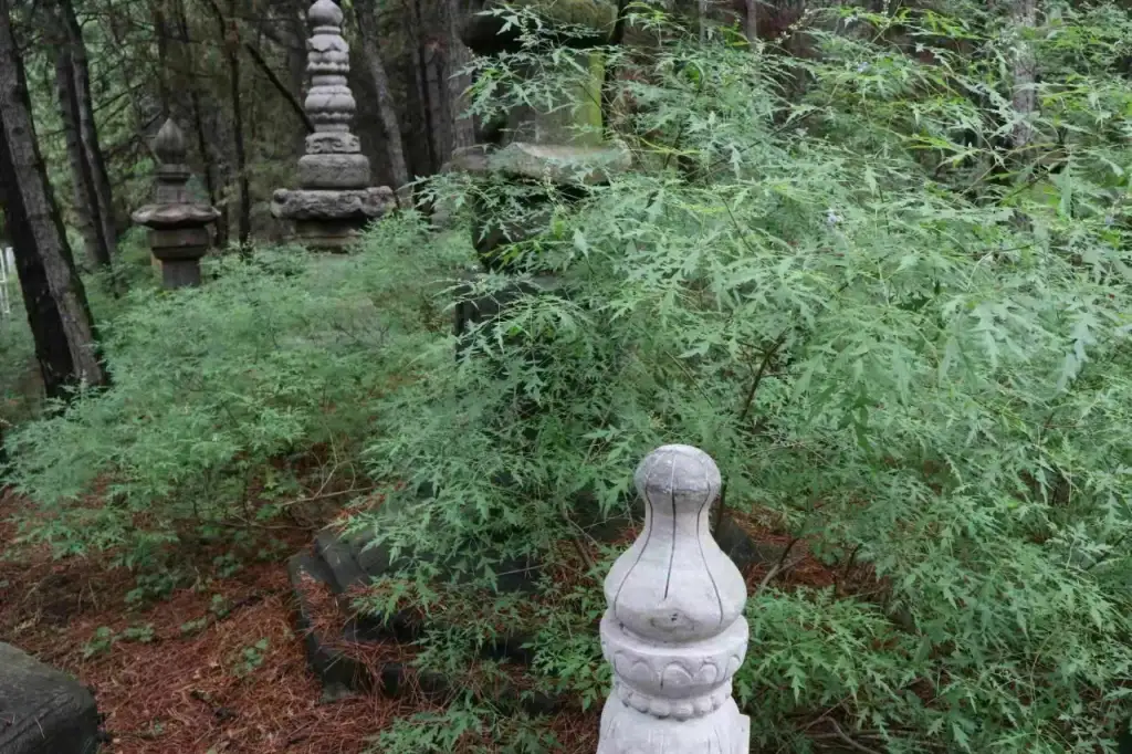 乌金山国家森林公园