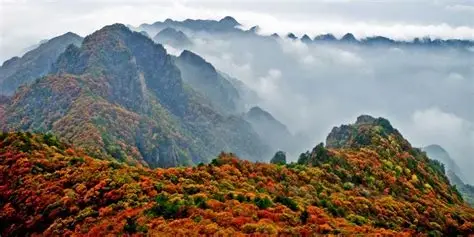 历山