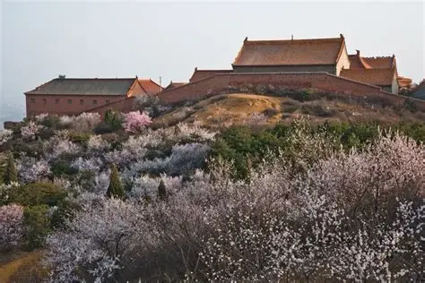 白马寺山森林公园