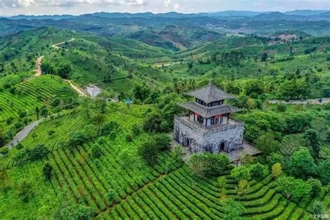 中华普洱茶博览苑