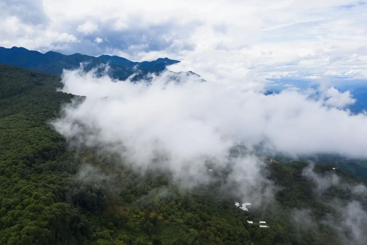 哀牢山森林旅游区