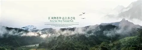 普洱太阳河森林公园