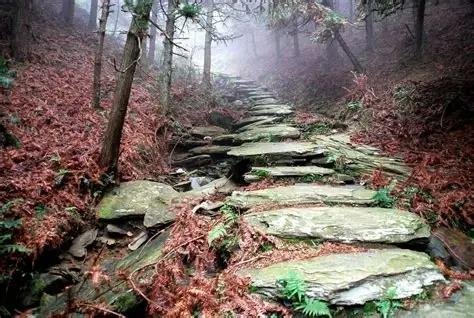 那柯里茶马古道