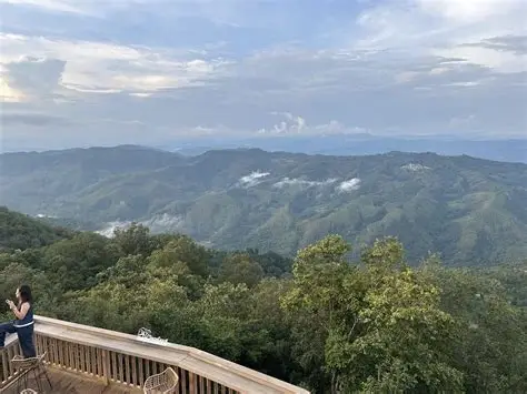 金山丫口观景台