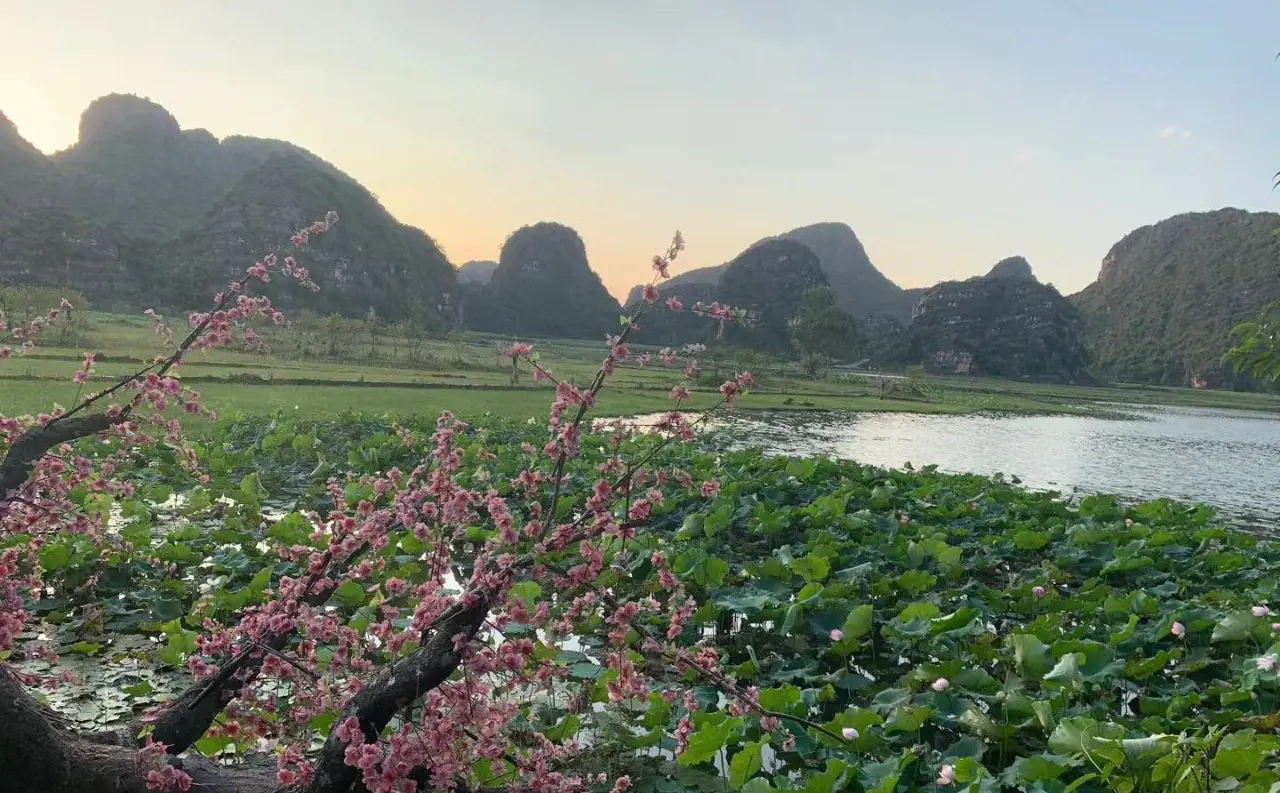 三生三世十里桃花拍摄点