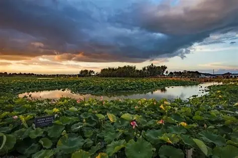 麒麟水乡