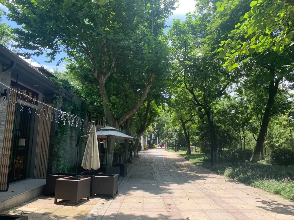 大兜路历史文化街区