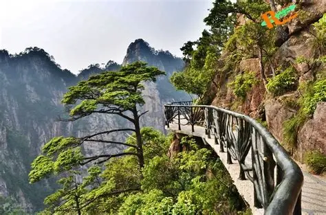 大明山风景区
