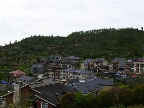 安顶山