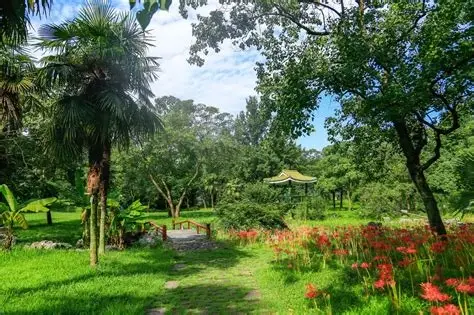 杭州植物园