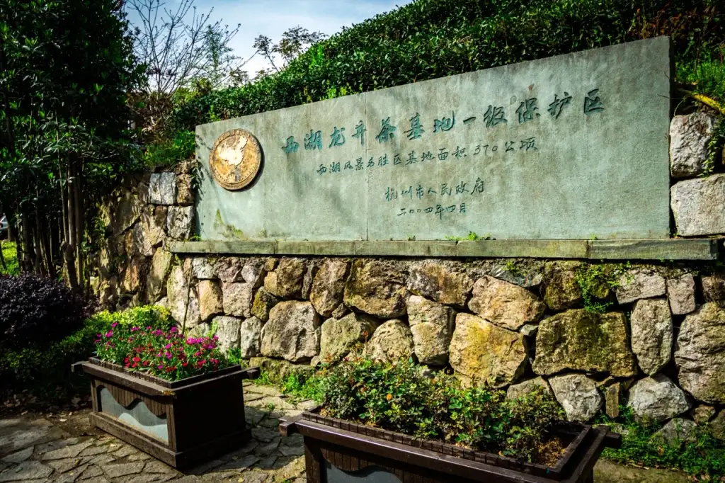 龙井村
