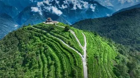 格林村观景台