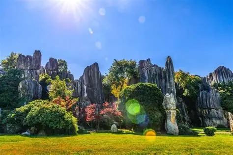 中渡石林大草原景区