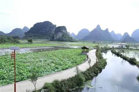 百朋荷苑景区