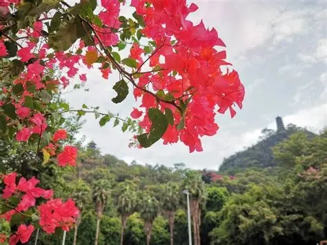 蟠龙山公园