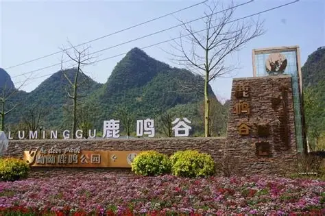 鹿鸣谷