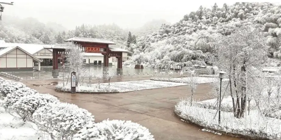 云上大院