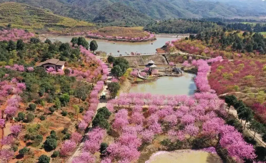 石峰公园