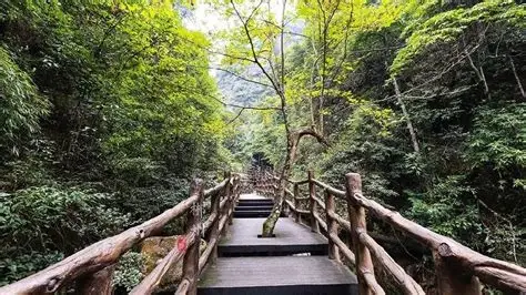蓬源仙森林公园
