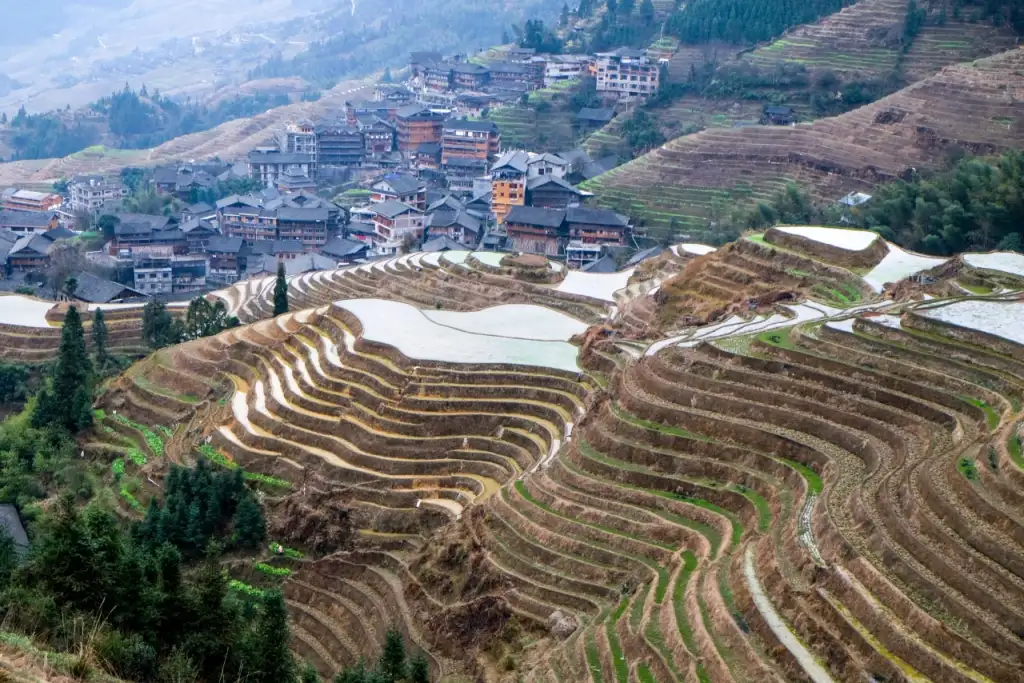 平安壮族梯田观景区
