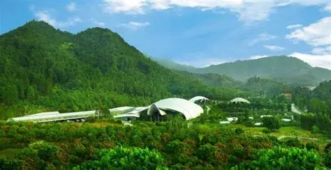 百岁山
