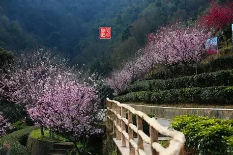 阴那山