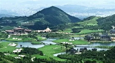 雁南飞茶田景区