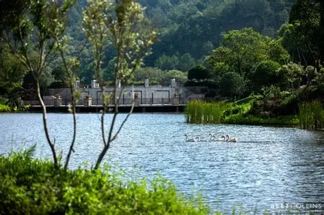 雁山湖国际花园度假区