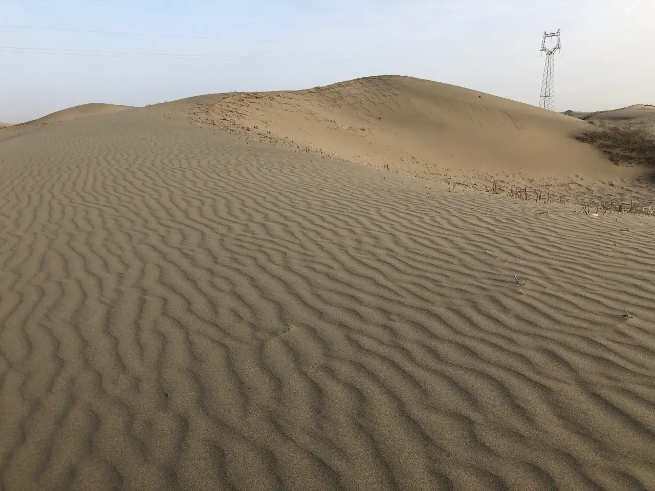 毛乌素沙漠
