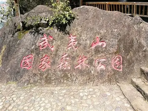 武夷山国家森林公园