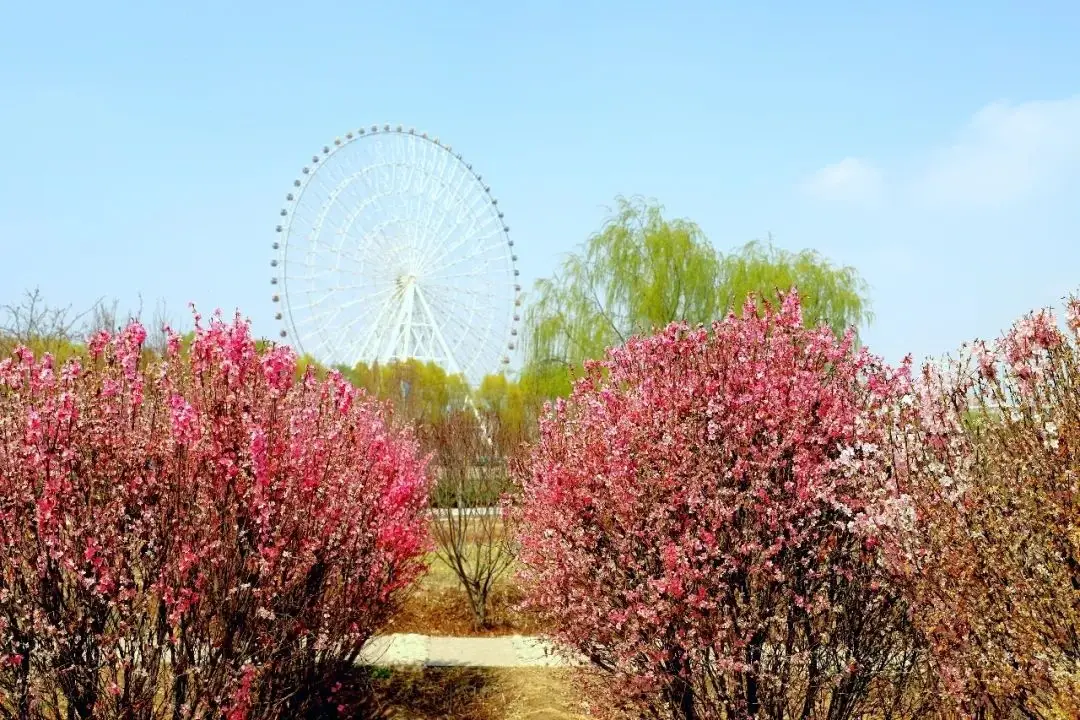 凉州植物园