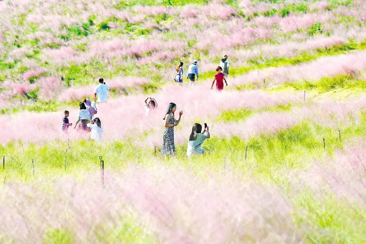 二妃山花海