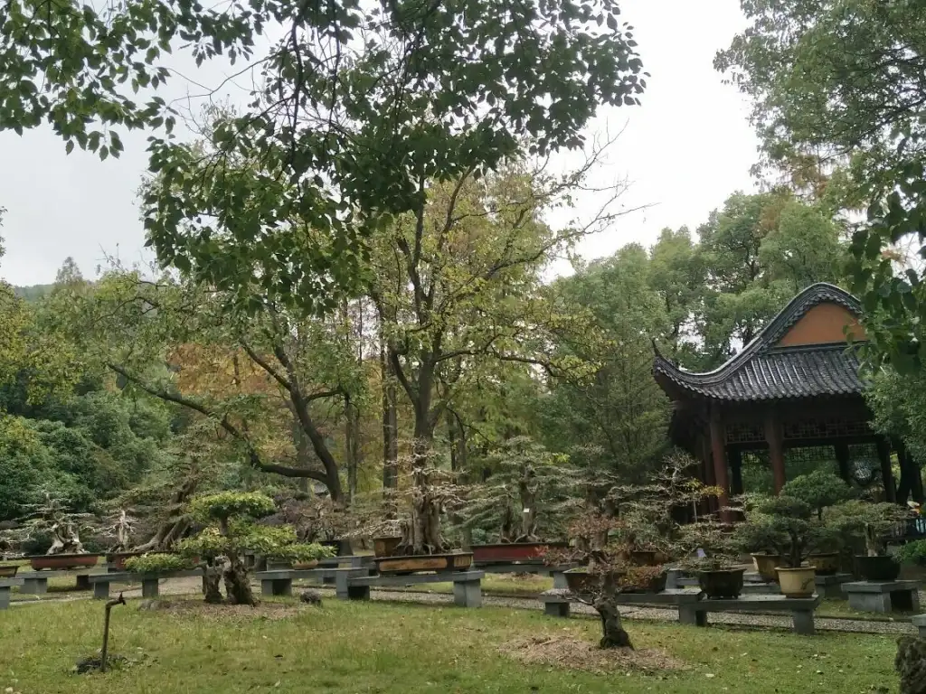 吹笛景区