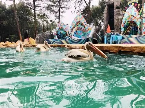 武汉野生动物王国