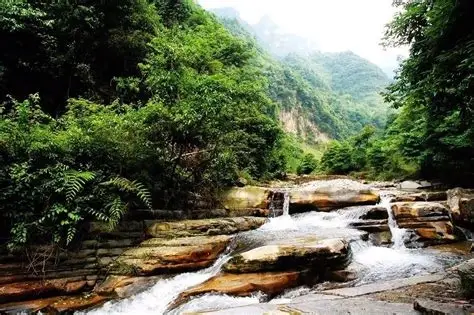油杉河景区