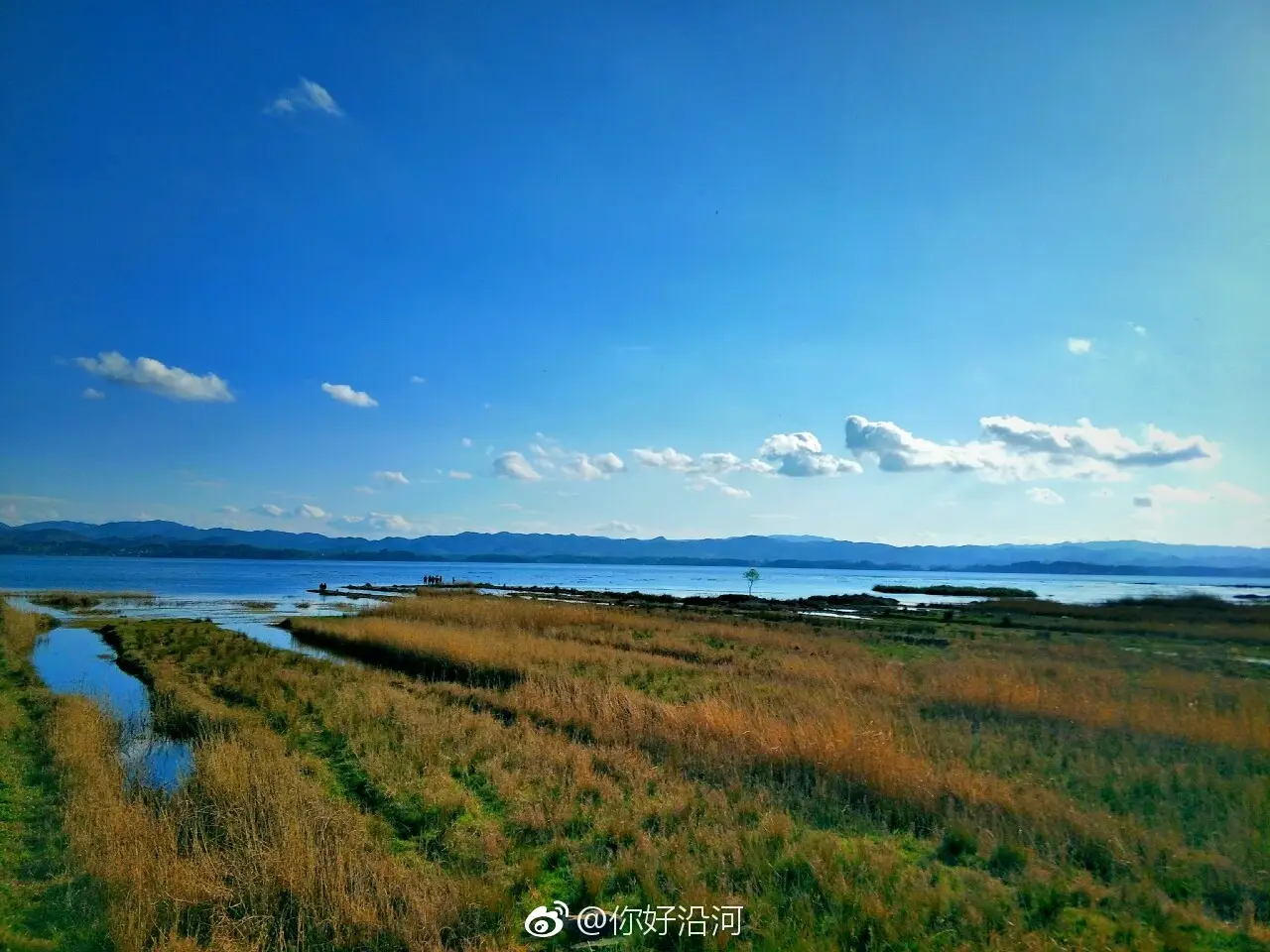 草海