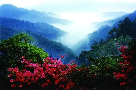 阳明山国家森林公园