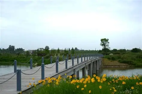汉中湿地公园